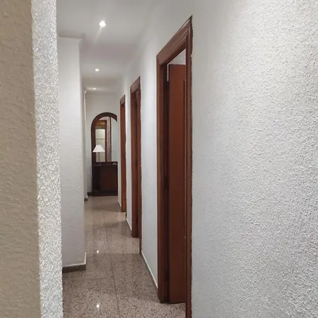 Major Del Pla 25 Apartment Elche Exterior photo